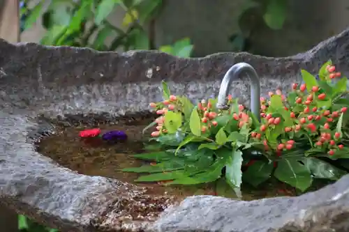 愛宕神社の手水舎
