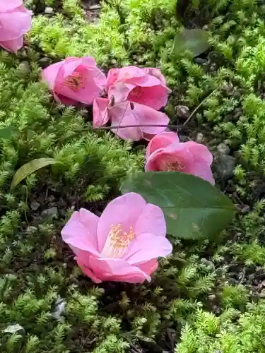 霊鑑寺門跡(京都府)