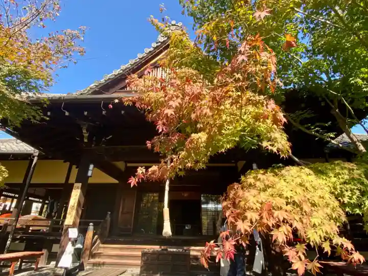 勝林寺(京都府)