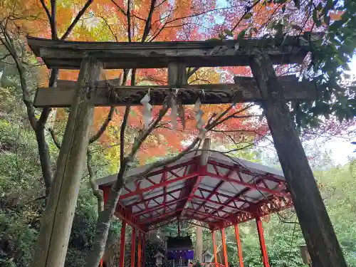 だんじり吉兵衛さん(大阪府)