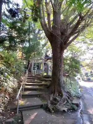 天台宗　長窪山　正覚寺のその他建物