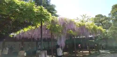 笠間稲荷神社の庭園