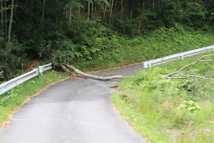 三春大神宮の自然