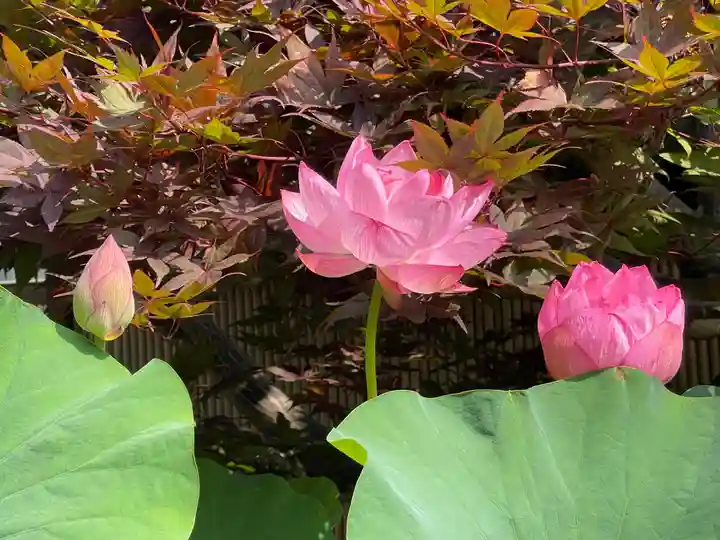 梅香寺(三重県)