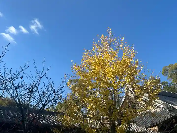 一乗院(和歌山県)