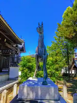 若一神社の狛犬