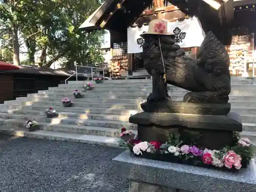 札幌諏訪神社の狛犬