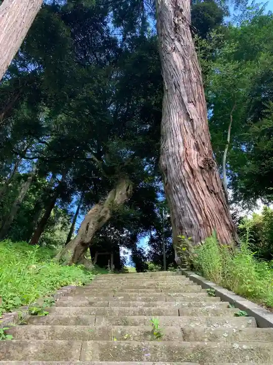 熊野神社の自然