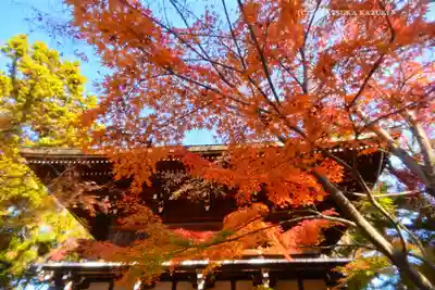 東漸寺(千葉県)