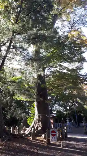 日吉神社(福島県)