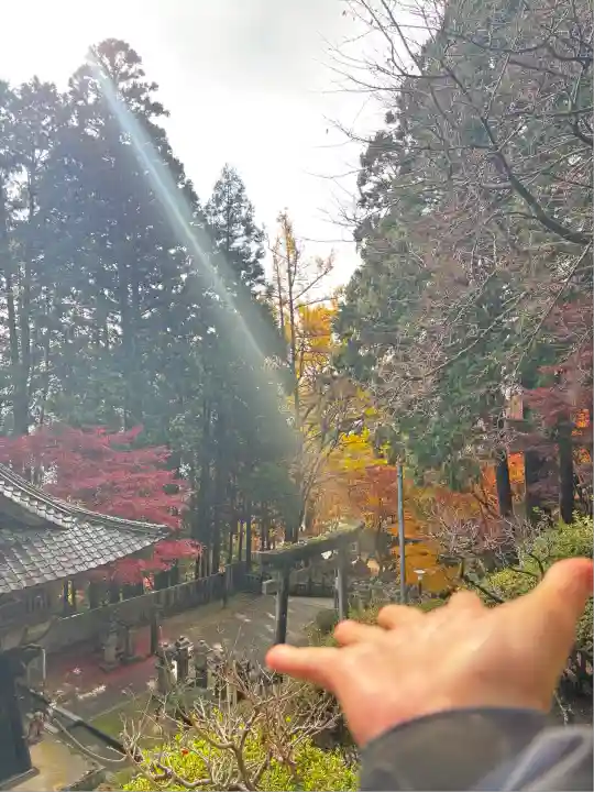 箸蔵寺(徳島県)