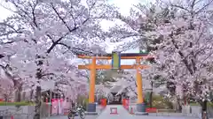 平野神社の鳥居