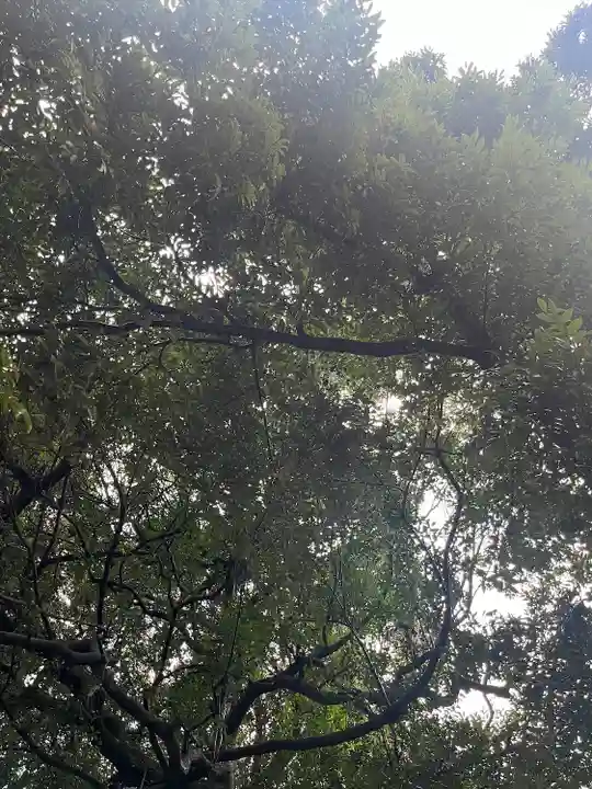 東沼神社(埼玉県)