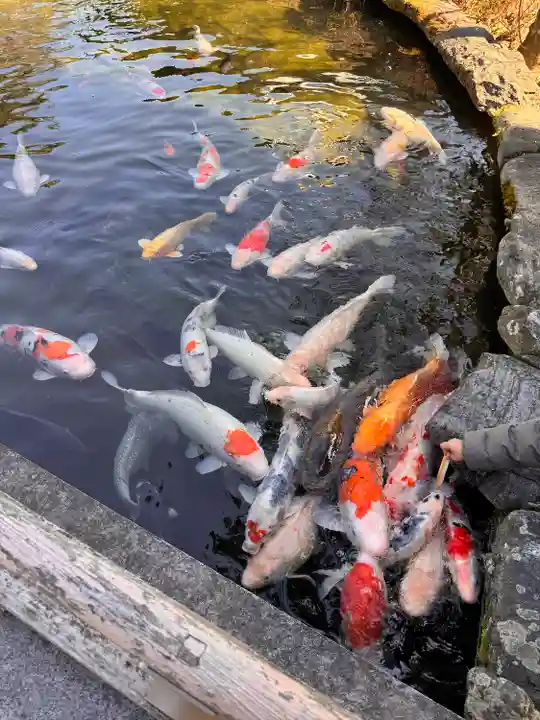 霊山寺(徳島県)