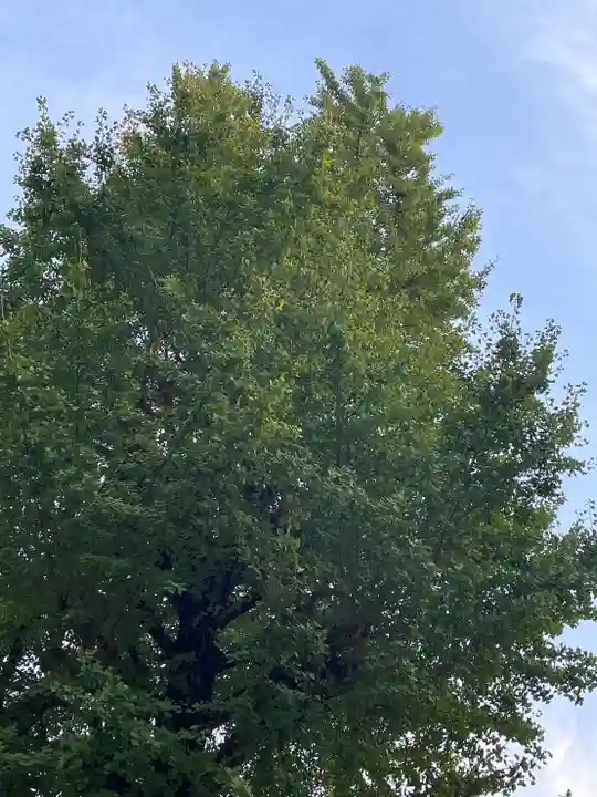 伊勢の国 四天王寺(三重県)