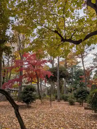 妙法寺(東京都)