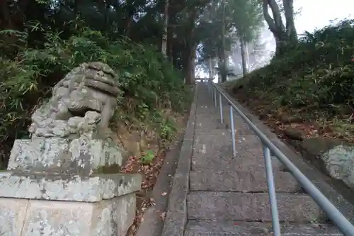 阿久津「田村神社」（郡山市阿久津町）旧社名：伊豆箱根三嶋三社の狛犬