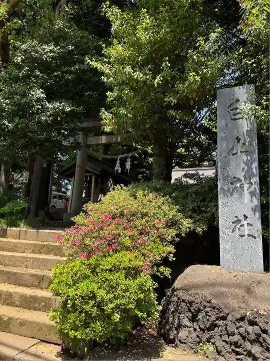 成宗白山神社(東京都)