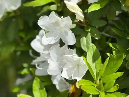 西方山極楽寺(岐阜県)