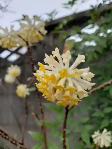 仙藏院(東京都)
