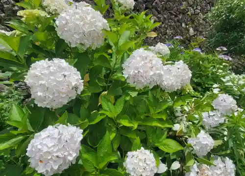 惣河内神社(愛媛県)
