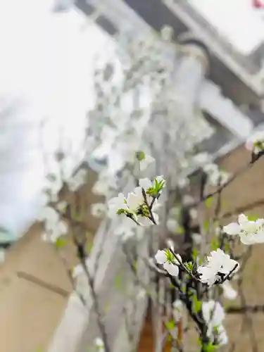 小野照崎神社(東京都)