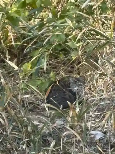 天伯山神社の{uncategorized: "未分類", other: "その他", undefined: "問題あり", building: "その他建物", grave: "お墓", sacred_gate: "鳥居", guardian: "狛犬", statue: "像", buddha: "仏像", history: "歴史", nature: "自然", garden: "庭園", animal: "動物", pagoda: "塔", temizu: "手水舎", mountain_gate: "山門・神門", sanctuary: "本殿・本堂", subordinate: "末社・摂社", art: "芸術", scenery: "景色", jizo: "地蔵", ema: "絵馬", goshuin: "御朱印", omikuji: "おみくじ", items: "授与品その他", amulet: "お守り", goshuincho: "御朱印帳", eats: "食事", festival: "お祭り", votive_dance: "神楽", shichigosan: "七五三参", wedding: "結婚式", experience: "体験その他", initially: "初詣", around: "周辺", anti_infection: "感染症対策"}