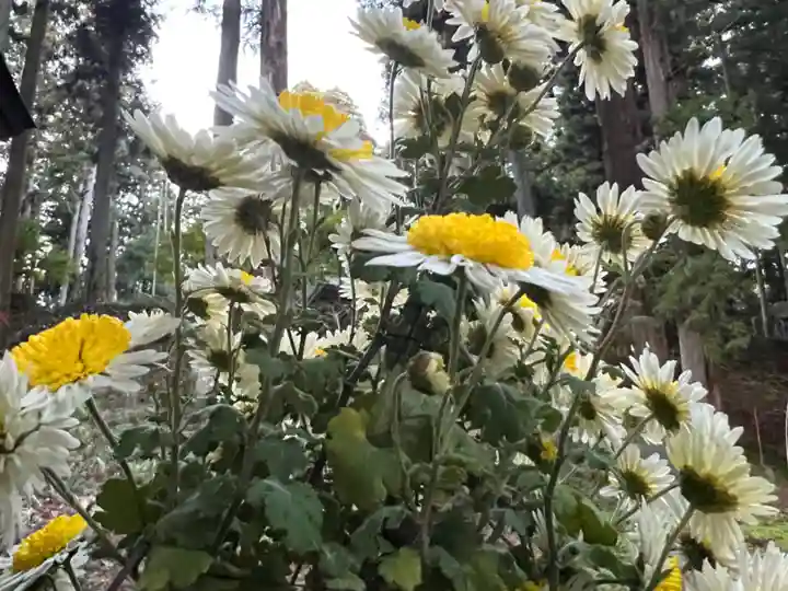 大宮温泉神社(栃木県)