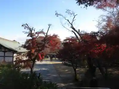 本土寺(千葉県)