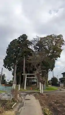 酒門神社(茨城県)