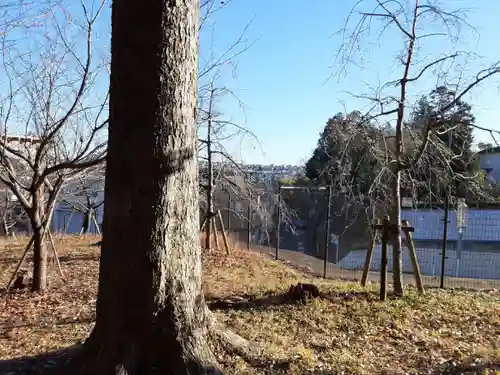 菅原神社(東京都)