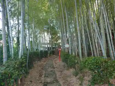 瓊寶庫山本宮(東京都)
