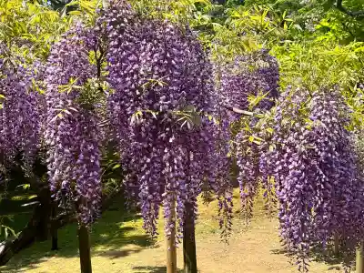 歌泉堂（春日大社神苑萬葉植物園内鎮座）(奈良県)