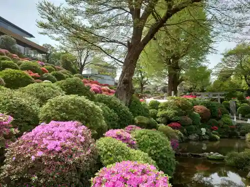 根津神社の庭園