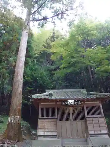 白山神社の本殿・本堂