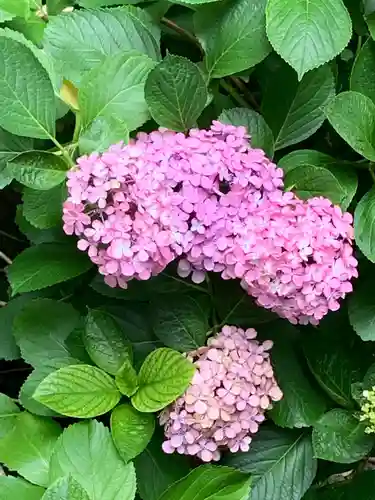 野中神社(宮城県)