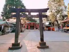 品川神社の鳥居