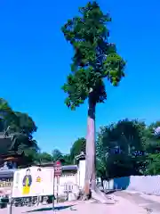 錦織神社(大阪府)