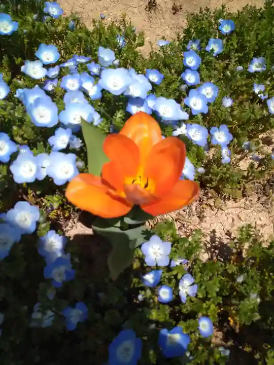巳徳神社の周辺
