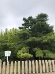 尾上神社(兵庫県)