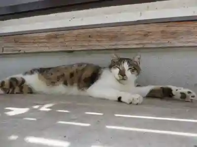 御誕生寺（猫寺）(福井県)