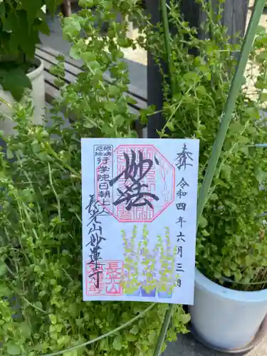 妙蓮寺の御朱印