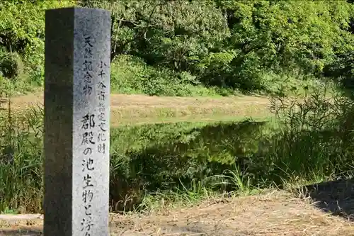 郡殿の池弁財天社(新潟県)