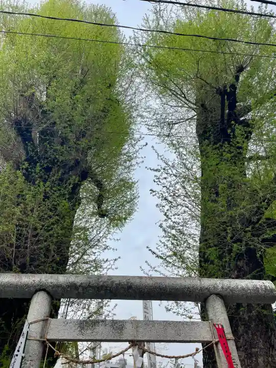 出世稲荷神社の{uncategorized: "未分類", other: "その他", undefined: "問題あり", building: "その他建物", grave: "お墓", sacred_gate: "鳥居", guardian: "狛犬", statue: "像", buddha: "仏像", history: "歴史", nature: "自然", garden: "庭園", animal: "動物", pagoda: "塔", temizu: "手水舎", mountain_gate: "山門・神門", sanctuary: "本殿・本堂", subordinate: "末社・摂社", art: "芸術", scenery: "景色", jizo: "地蔵", ema: "絵馬", goshuin: "御朱印", omikuji: "おみくじ", items: "授与品その他", amulet: "お守り", goshuincho: "御朱印帳", eats: "食事", festival: "お祭り", votive_dance: "神楽", shichigosan: "七五三参", wedding: "結婚式", experience: "体験その他", initially: "初詣", around: "周辺", anti_infection: "感染症対策"}