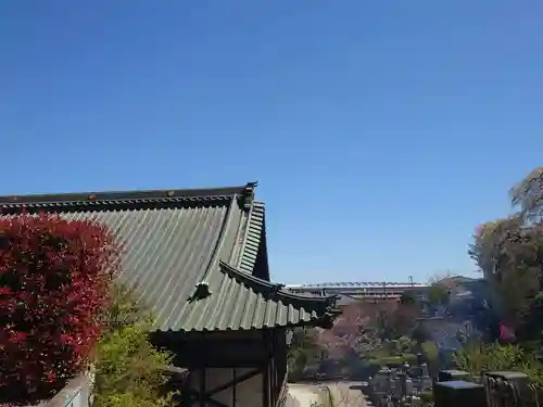 雲松院の景色