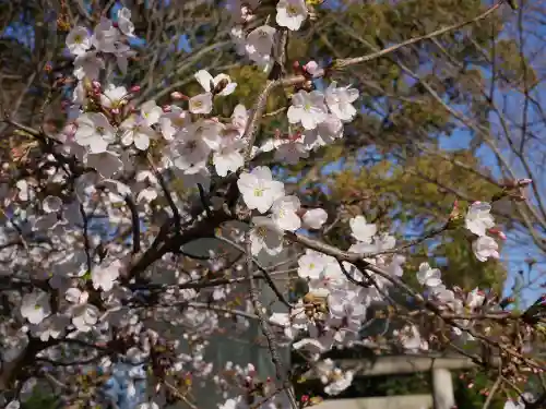 松陰神社の自然
