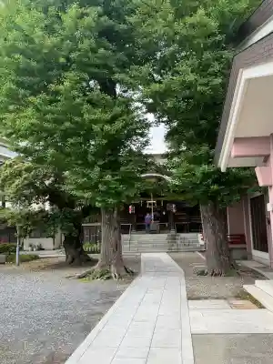 青砥神社の{uncategorized: "未分類", other: "その他", undefined: "問題あり", building: "その他建物", grave: "お墓", sacred_gate: "鳥居", guardian: "狛犬", statue: "像", buddha: "仏像", history: "歴史", nature: "自然", garden: "庭園", animal: "動物", pagoda: "塔", temizu: "手水舎", mountain_gate: "山門・神門", sanctuary: "本殿・本堂", subordinate: "末社・摂社", art: "芸術", scenery: "景色", jizo: "地蔵", ema: "絵馬", goshuin: "御朱印", omikuji: "おみくじ", items: "授与品その他", amulet: "お守り", goshuincho: "御朱印帳", eats: "食事", festival: "お祭り", votive_dance: "神楽", shichigosan: "七五三参", wedding: "結婚式", experience: "体験その他", initially: "初詣", around: "周辺", anti_infection: "感染症対策"}