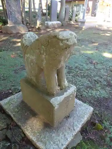 塚崎香取神社の狛犬