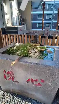 高円寺氷川神社(東京都)