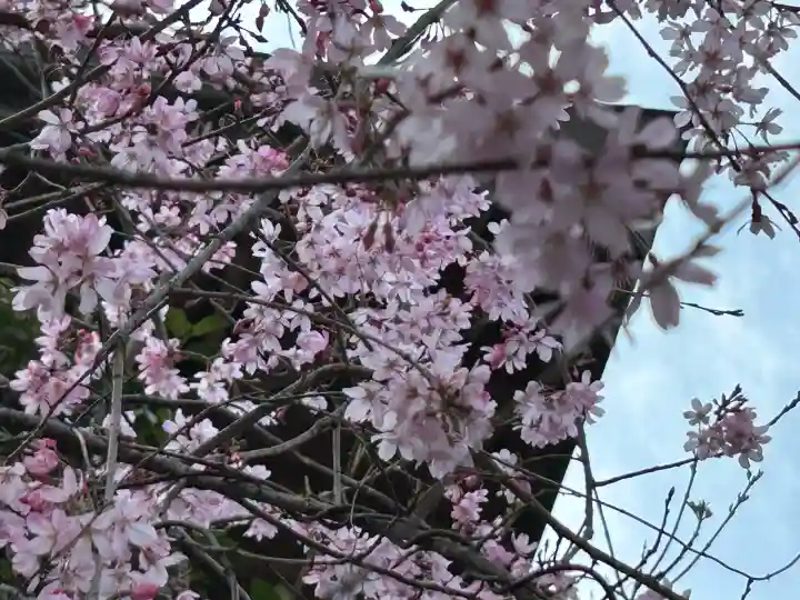 鷲尾愛宕神社の{uncategorized: "未分類", other: "その他", undefined: "問題あり", building: "その他建物", grave: "お墓", sacred_gate: "鳥居", guardian: "狛犬", statue: "像", buddha: "仏像", history: "歴史", nature: "自然", garden: "庭園", animal: "動物", pagoda: "塔", temizu: "手水舎", mountain_gate: "山門・神門", sanctuary: "本殿・本堂", subordinate: "末社・摂社", art: "芸術", scenery: "景色", jizo: "地蔵", ema: "絵馬", goshuin: "御朱印", omikuji: "おみくじ", items: "授与品その他", amulet: "お守り", goshuincho: "御朱印帳", eats: "食事", festival: "お祭り", votive_dance: "神楽", shichigosan: "七五三参", wedding: "結婚式", experience: "体験その他", initially: "初詣", around: "周辺", anti_infection: "感染症対策"}